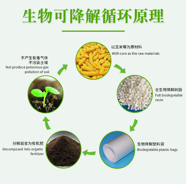 世界各國(guó)禁塑令-生物降解袋市場(chǎng)機(jī)遇來了(圖1)