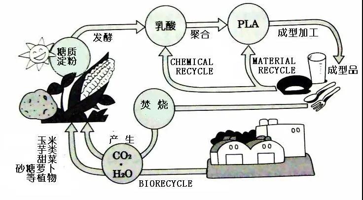 可生物降解環(huán)保塑料可以回收再利用嗎？(圖4)