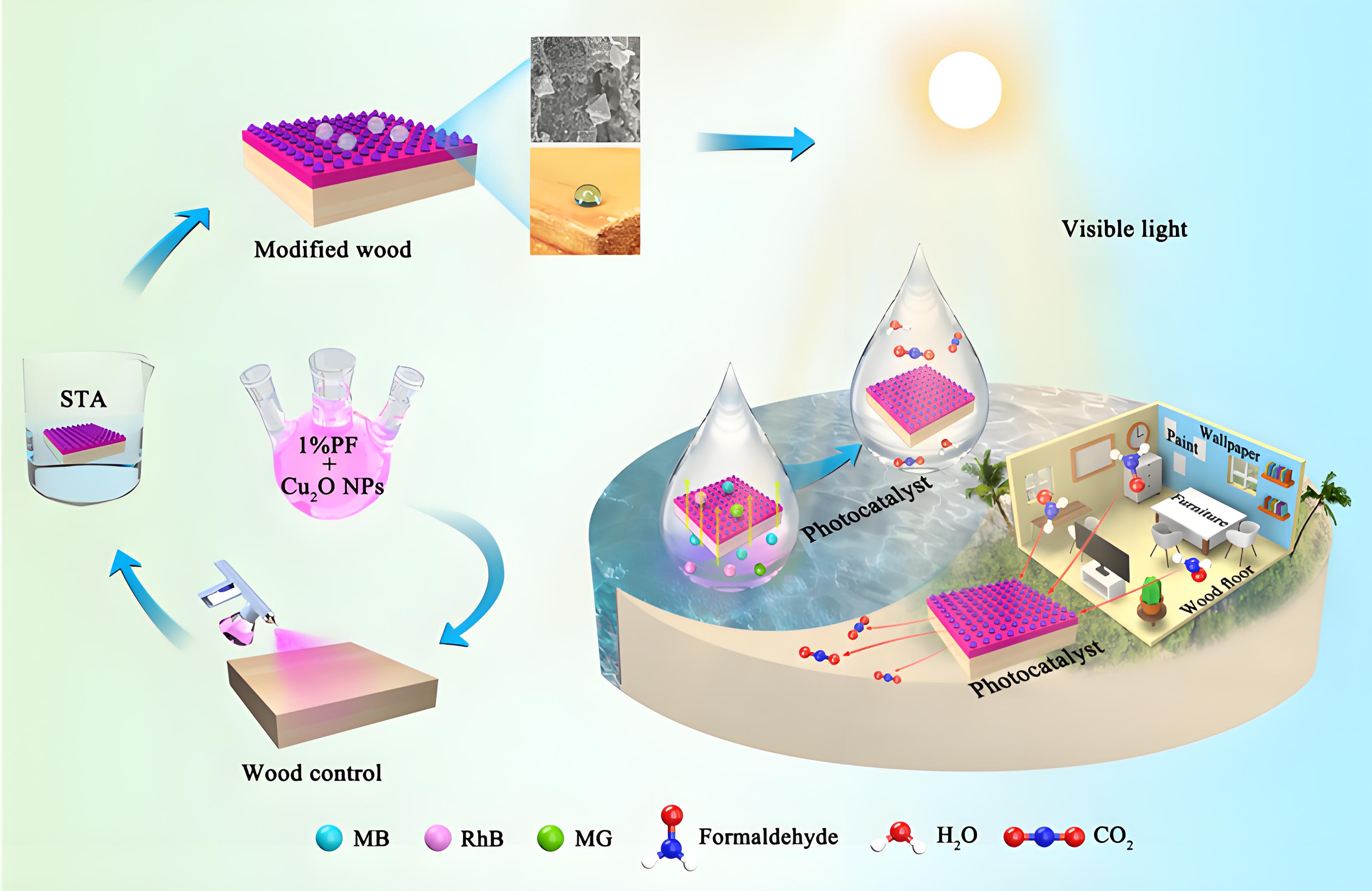 光降解和生物降解塑料袋區(qū)別？(圖1)