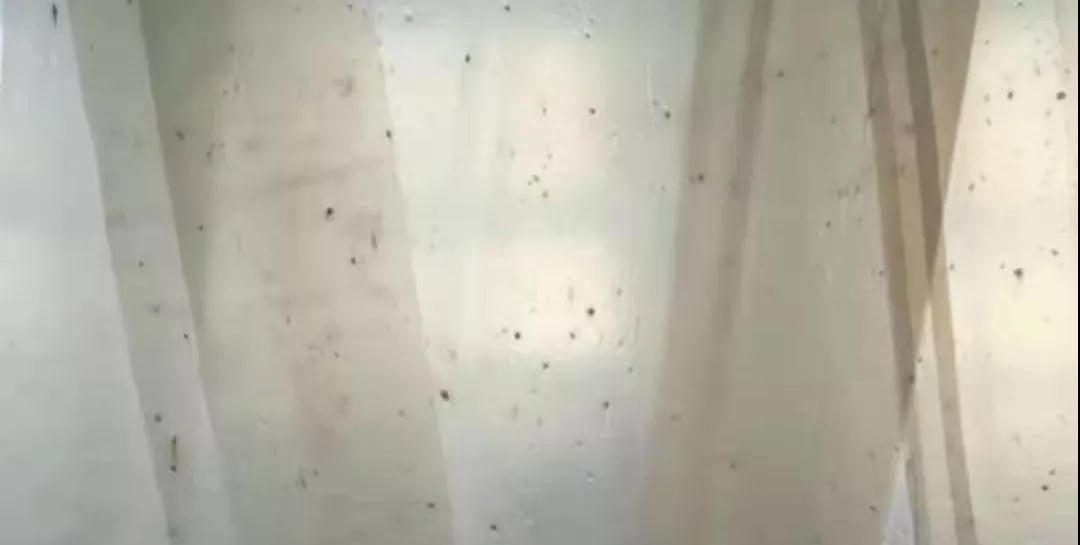 PBAT膜袋有黑點(diǎn)是什么原因？(圖1)