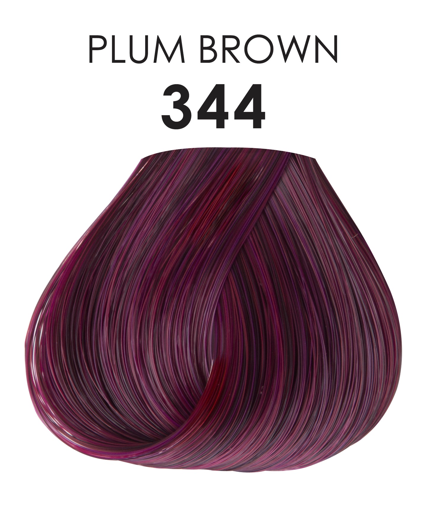 Adore Plum Brown #344